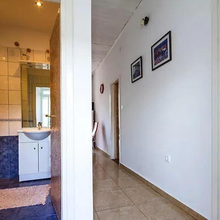 Zwei Palmen Cin101008 Dya *